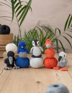 Fledglings Discovery Box