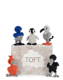 Fledglings Discovery Box