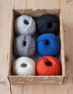 Fledglings Discovery Box