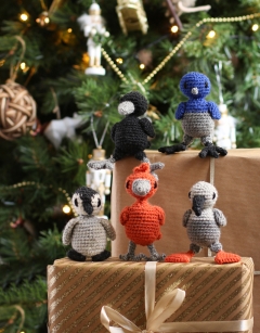 Fledglings Discovery Box