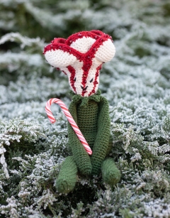 Beaded Candy Cane Sorrel