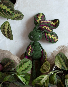 Maranta Fascinator