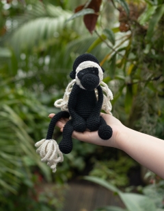 Franklin the Colobus Monkey