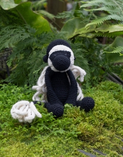 Franklin the Colobus Monkey