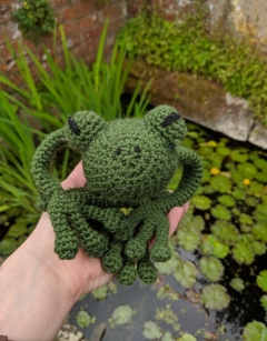 Robert the Frog