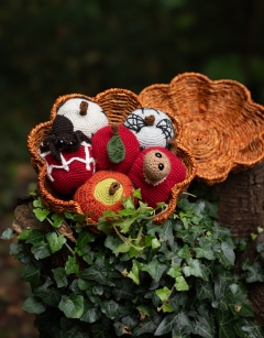 Toffee Apple Collection