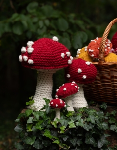 Giant Cap Toadstool