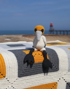 Bram the Northern Gannet