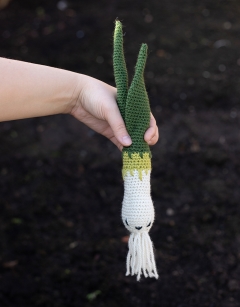 Spring Onion Kit
