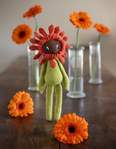 Gerbera Kit