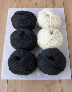 Giant Paddy the Black and White Cat