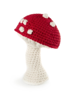 Giant Cap Toadstool