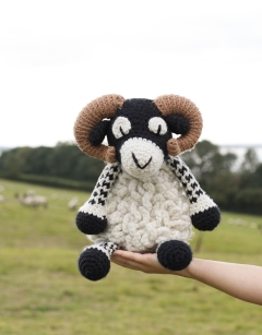 Giant Dominic the Swaledale Sheep