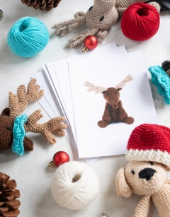 Ed's Animals Christmas Party Box