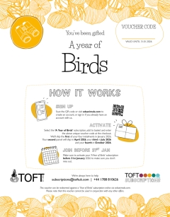 A Year of Birds