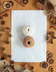 Gingerbread Boy