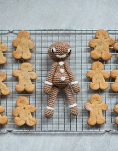 Mini Gingerbread Monster