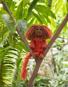 Balthazar the Golden Lion Tamarin