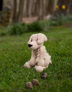 Don the Golden Retriever Kit