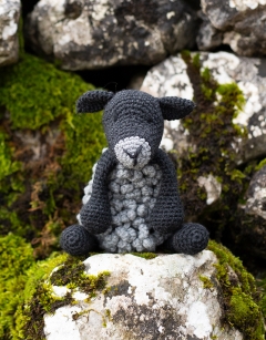 Wayne the Gotland Sheep