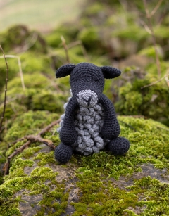 Wayne the Gotland Sheep