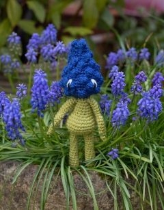 Mini Muscari