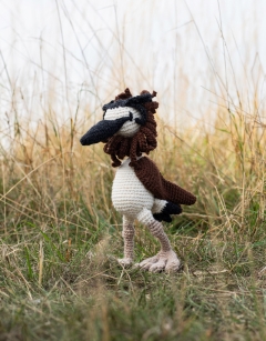 Jean the Great Crested Grebe