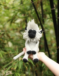 Eli the Grey Langur