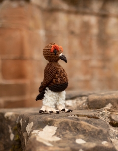 Dudley the Red Grouse