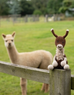 Bianca the Guanaco