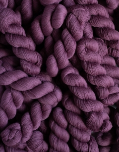 Purple Planting Pack