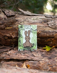 Lucy the Hare
