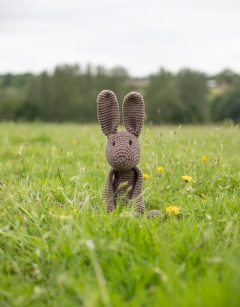 Large Lucy the Hare