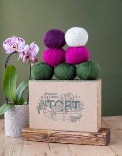 Harlequin Moth Orchid