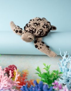 Bessie the Hawksbill Sea Turtle