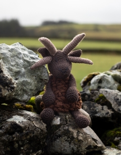 Tobias the Hebridean Sheep