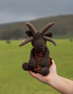 Tobias the Hebridean Sheep