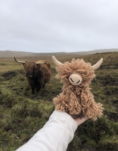 Morag the Highland Coo Kit