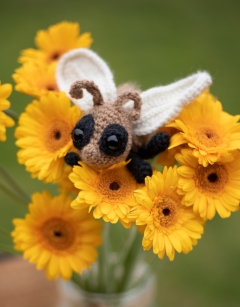 Nancy the Bee Kit