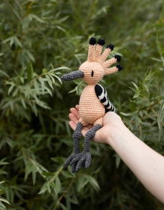 Jacob the Hoopoe