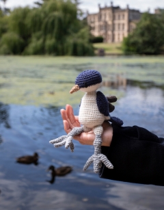 Chatsworth the House Martin