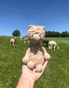 Quin the Huacaya Alpaca Kit