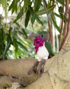 Pedro the Wine Throated Hummingbird