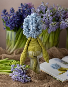 Hyacinth Kit