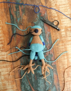 Azula the Indian Roller Bird