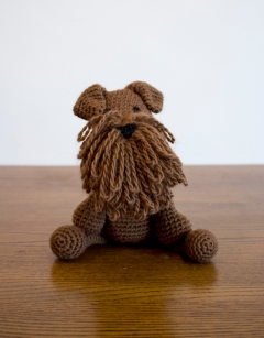 Connor the Irish Terrier
