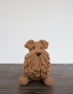 Connor the Irish Terrier