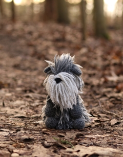 Joyce the Irish Wolfhound