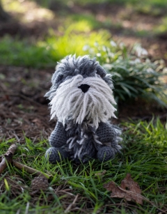 Joyce the Irish Wolfhound