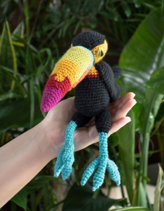 Isabella the Rainbow Toucan